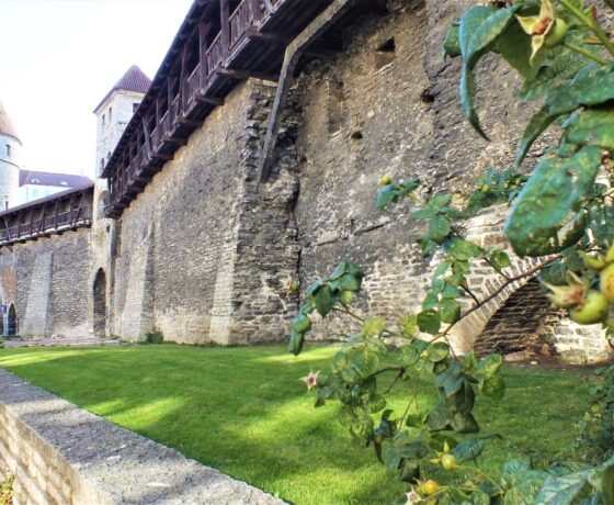 Tallinn Accessible tour